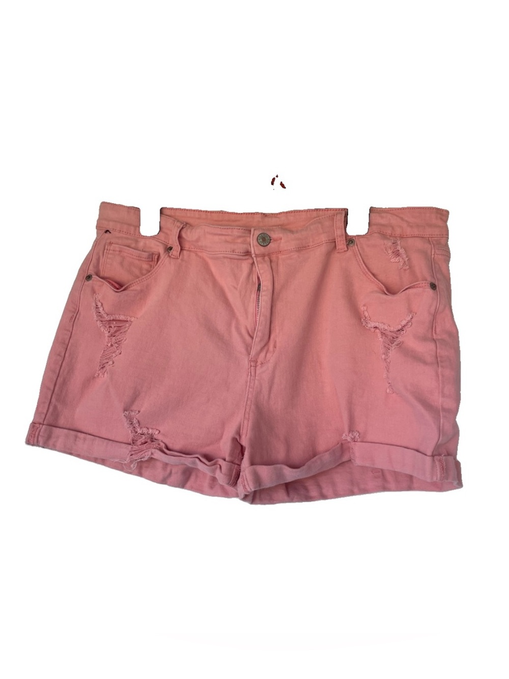 Shorts - Picture 5 of 8